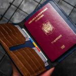 portofel pasaport albastru maro
